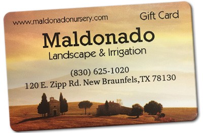 maldonado-gift-card