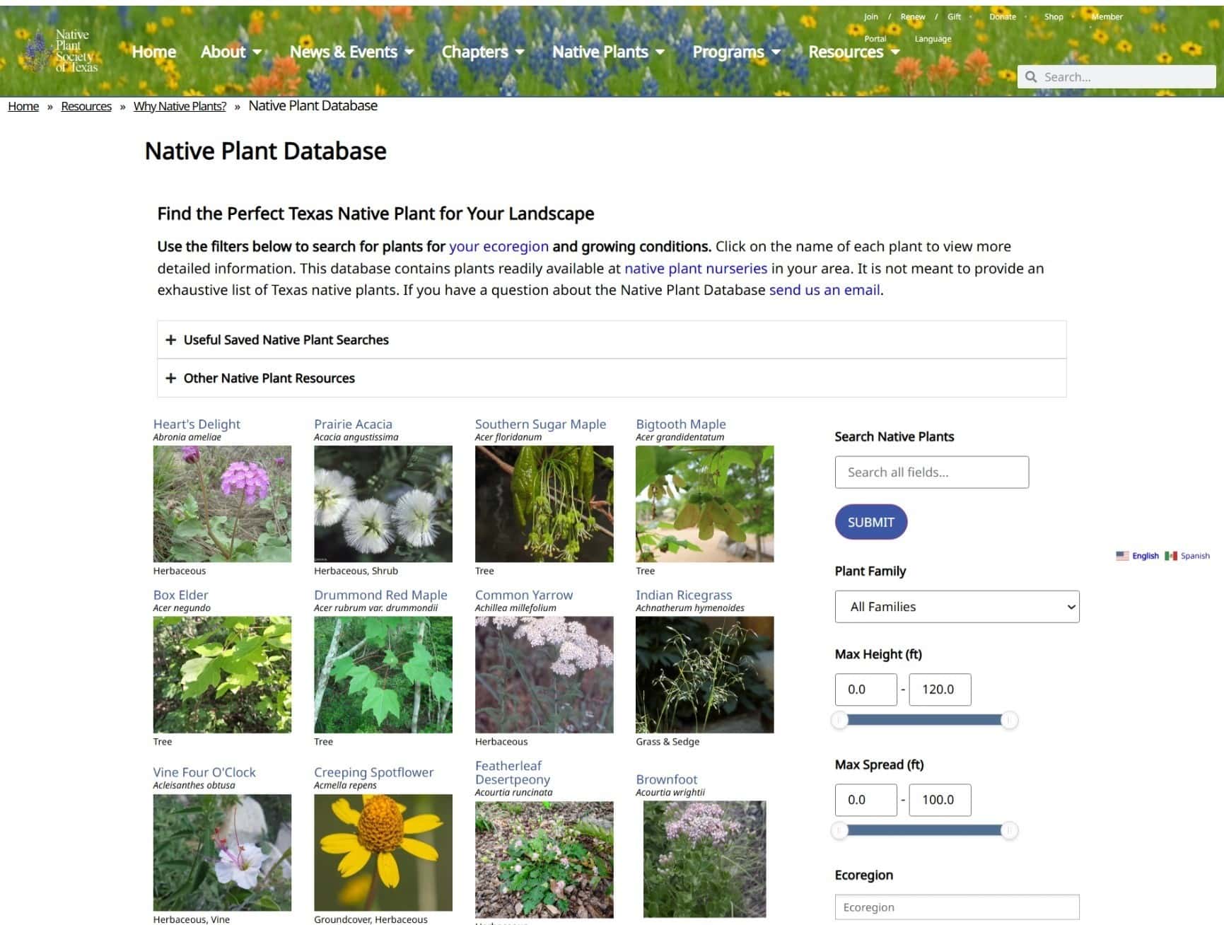 Native Plant Society of Texas pt 2
