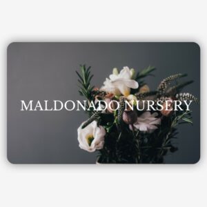 Maldonado Nursery Gift Card